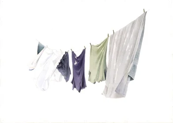 Spring Washing-line, 2003
